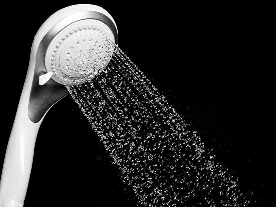 shower head